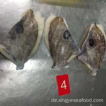 Gefrorene John Fory Fischfilets